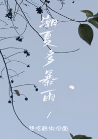 小说潮夏多暴雨
